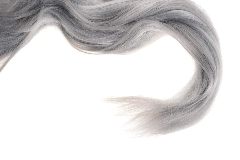 How to transition to a MAGNIFICENT SILVER GREY LOOK